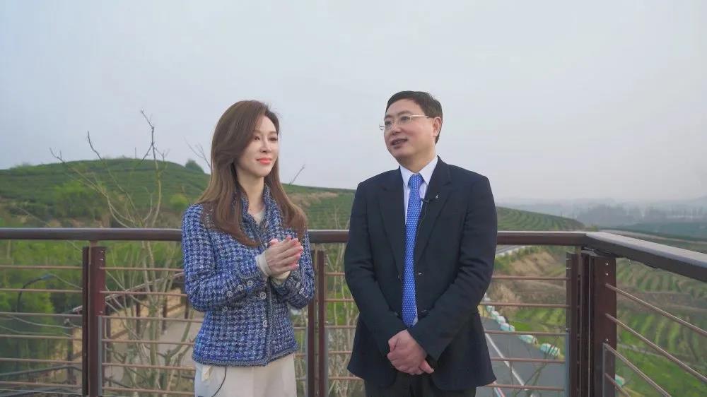 浙江電視臺(tái)教科頻道播出專訪節(jié)目 介紹浙茶集團(tuán)承擔(dān)“白葉一號(hào)”茶葉扶貧等事項(xiàng)